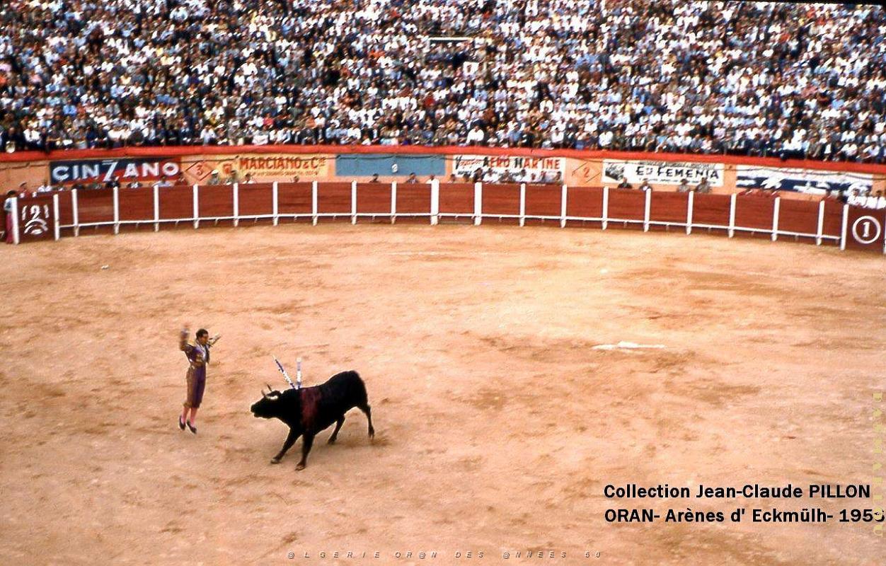 Oran - Eckmulh - Arenes - 1956.jpg